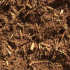 Cypress Outback Orange