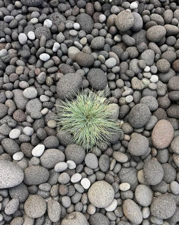 Kashmiri Pebbles: Charcoal Lava - Various Sizes - Image 2