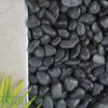 Kashmiri Pebbles: Polished Black - 20kg Bag - Image 2