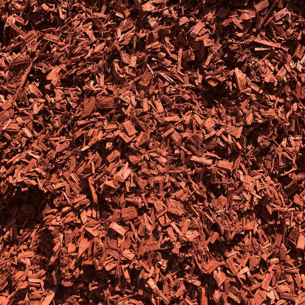 red chip suj photo