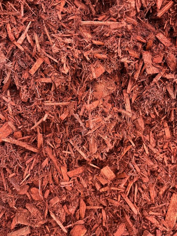 Cypress Red Coloured Blend