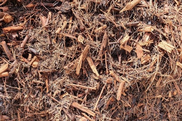 Tea Tree Mulch