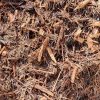 Tea Tree Mulch