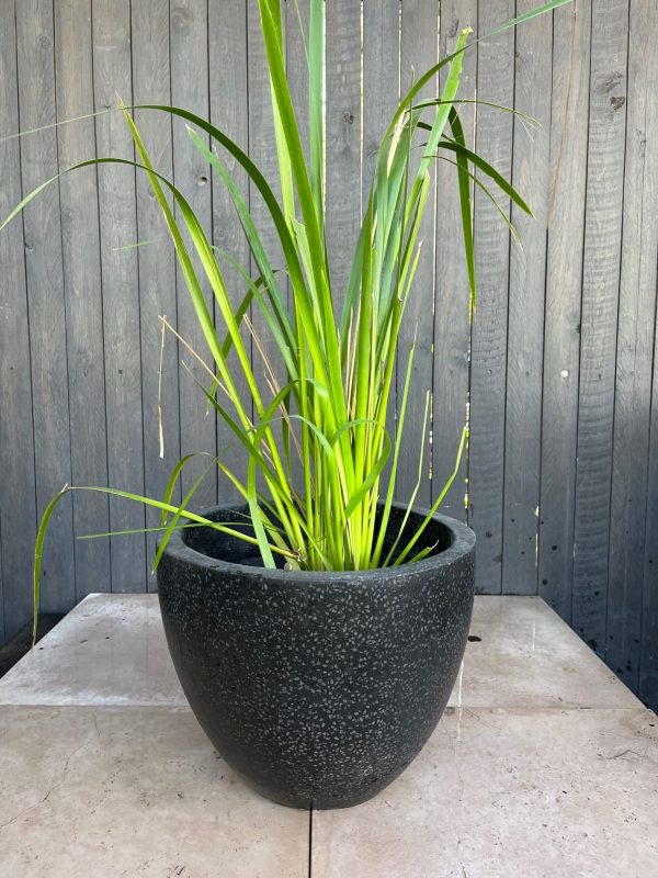 Terrazzo Egg Pots