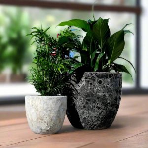 Bubble Glaze Egg Pots