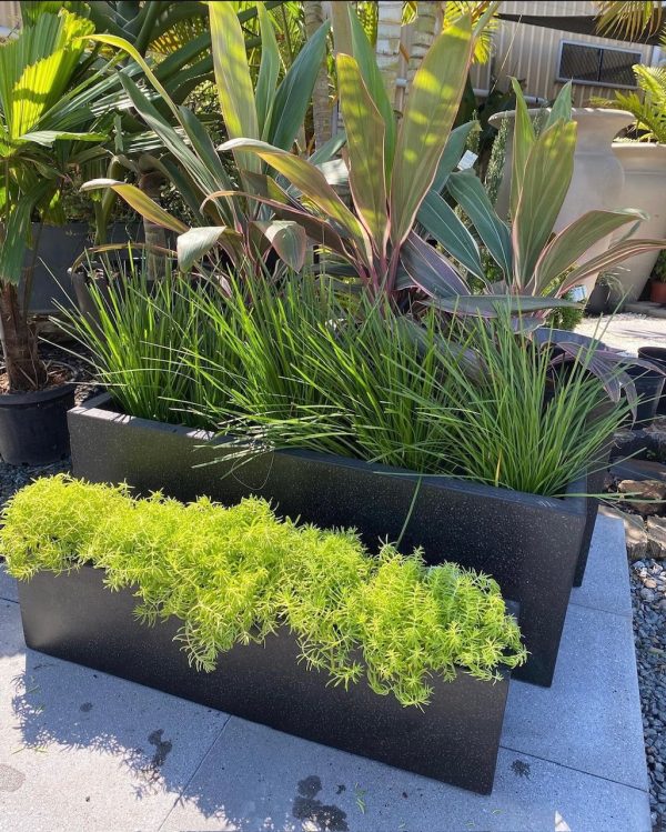 Terrazzo Huge Rectangle Pots