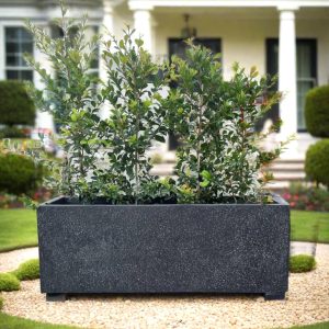 Terrazzo Rectangle Pots