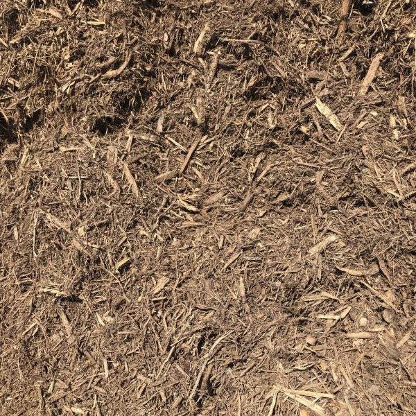 Forest Mulch