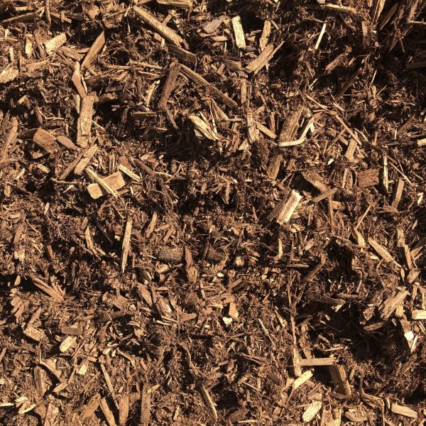 Cypress Original Blend