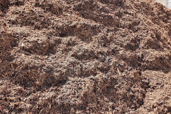 Tea Tree Mulch