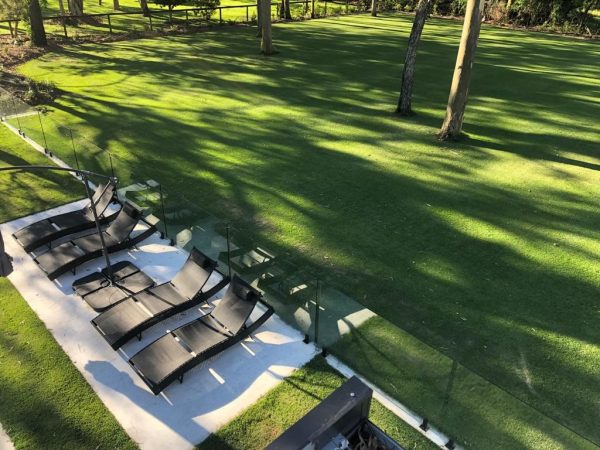 Empire Zoysia Turf - Image 2