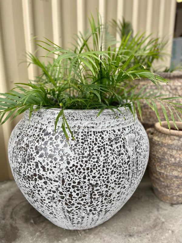 Ancient Pompeii Urn - 72cmx60cm