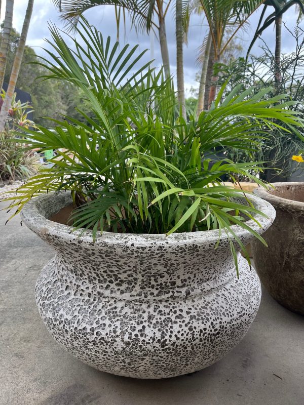 Ancient Lucinda Pot (Various Sizes) - Image 2