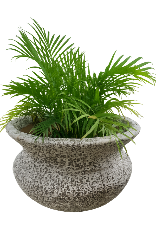 Ancient Lucinda Pot (Various Sizes)