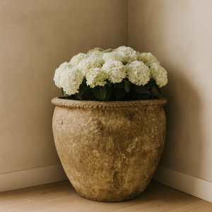 Ancient Collingwood Pot