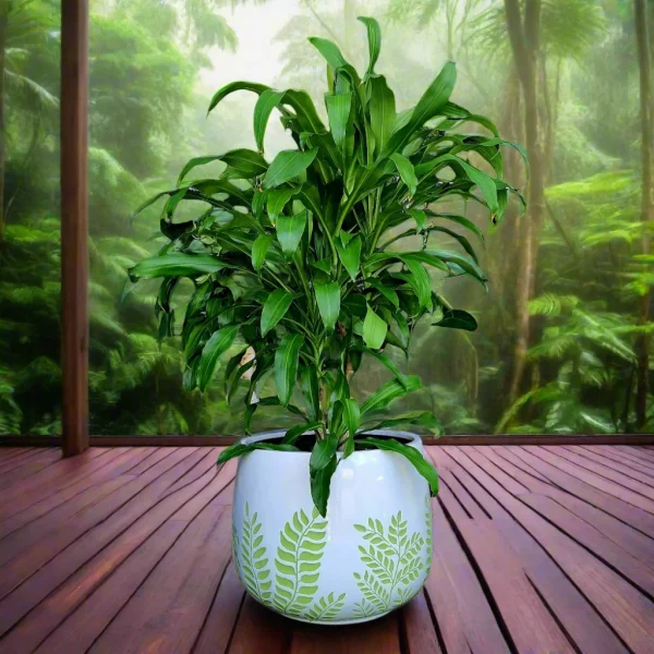 FibreGlass Bunge Fern Pot
