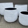 FG Monstera Bunge Pot