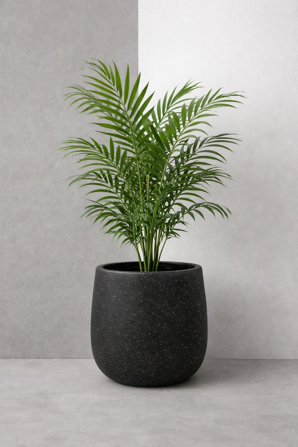 Fibrecrete Bunge Pots - Image 5