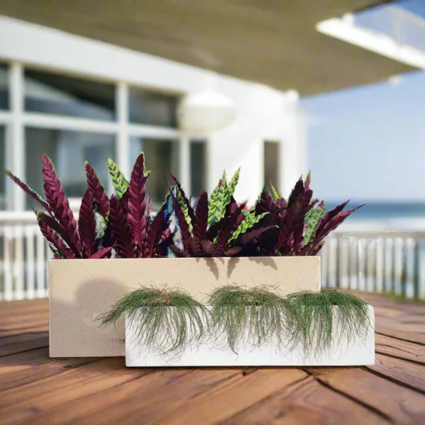 Fibreglass Terrazzo Rectangle Pot (Light Weight)
