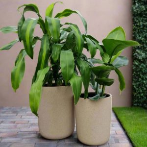 Fibreglass Long John Pots (Light Weight)